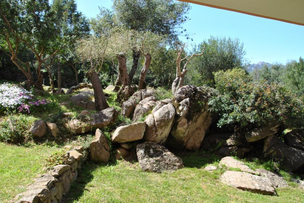 Sa Jaga Brujada Residence - Simar Vacanze Porto Rotondo Exterior photo